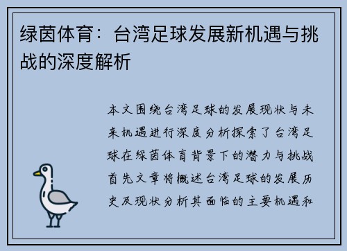 绿茵体育：台湾足球发展新机遇与挑战的深度解析