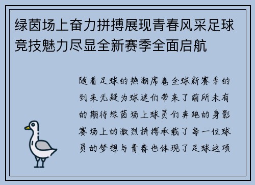 绿茵场上奋力拼搏展现青春风采足球竞技魅力尽显全新赛季全面启航